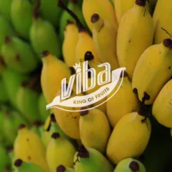 Banana bunch