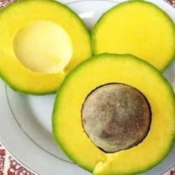 Booth avocado